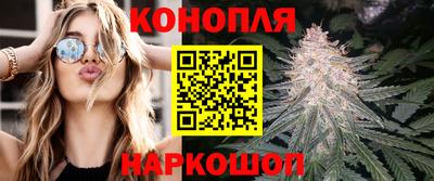 твердый Камышлов