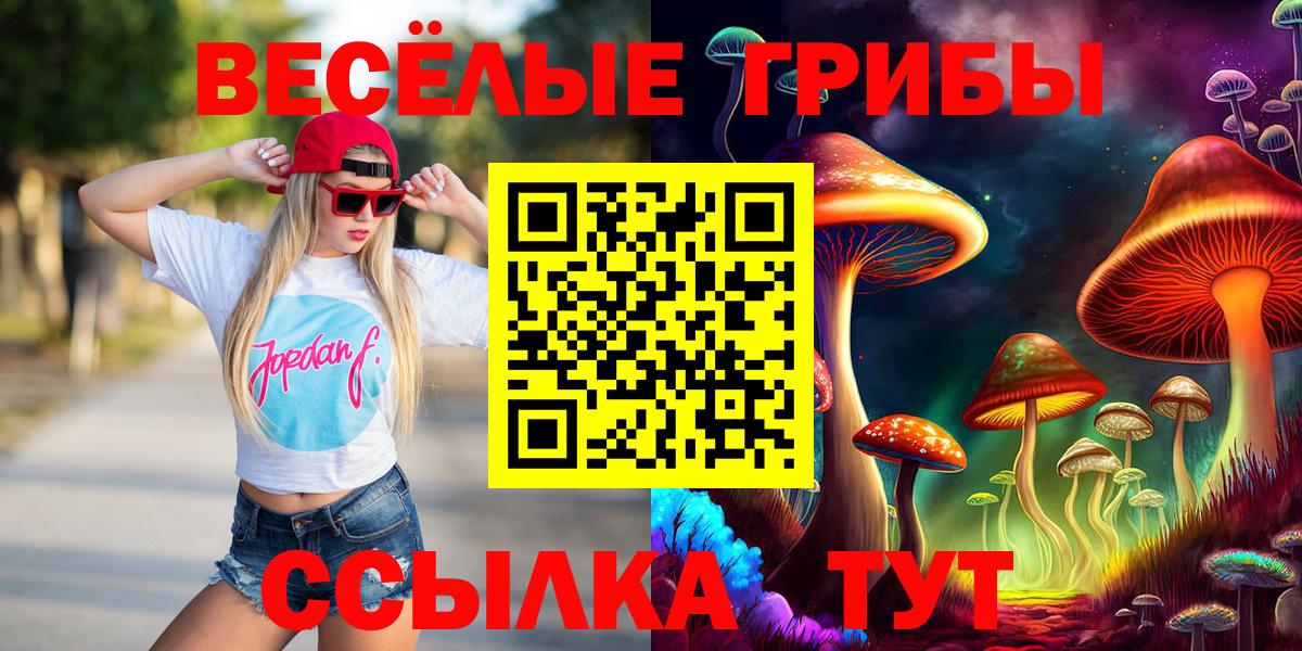 Псилоцибиновые грибы Cubensis Сызрань